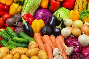 Xuất khẩu rau quả muốn bền vững phải chuẩn hóa chất lượng và chuỗi công nghệ