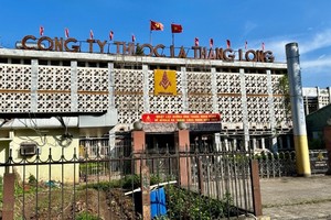 Chung cư gần khu Cao Xà Lá ngót nghét 100 triệu đồng/m2 