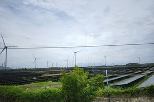 Ninh Thuận có 12 khu đất đấu thầu thực hiện dự án điện mặt trời 