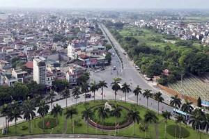 Ảnh chỉ mang tính minh họa. Nguồn Internet