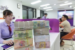 Khoản vay xanh là công cụ tài chính xanh được sử dụng nhiều nhất ở Việt Nam, các ngân hàng cung cấp chính bao gồm BIDV, MB, VPBank và TPBank