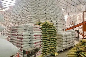 Giá gạo xuất khẩu bình quân 6 tháng/2025 ước đạt 517,5 USD/tấn, giảm 18,4% so với cùng kỳ năm 2024.