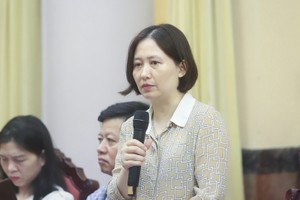 Bà Nguyễn Thu Thủy, Phó cục trưởng Cục Phát triển Doanh nghiệp nhà nước (Bộ Tài chính) trao đổi tại cuộc họp báo - (Ảnh: TT).
