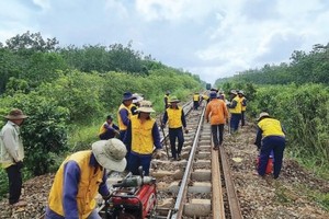 Các nhà thầu tập trung thi công cải tạo đường sắt đoạn Nha Trang - Sài Gòn. Ảnh: Thanh Thúy. 