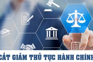 Tập trung hoàn thành cắt giảm, đơn giản hóa thủ tục hành chính, điều kiện kinh doanh 