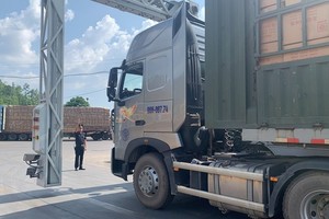 Hoạt động soi chiếu container của cơ quan hải quan.