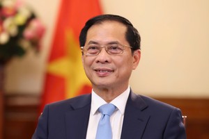 Phó Thủ tướng, Bộ trưởng Bộ Ngoại giao Bùi Thanh Sơn.
