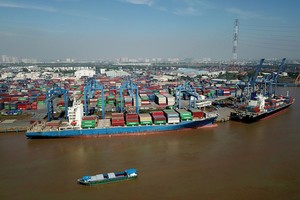 Nhiều doanh nghiệp vận tải mở rộng các tuyến dịch vụ và gia tăng đội tàu