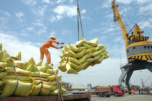 Xuất khẩu gạo cả năm 2025 sẽ vượt 8,2 triệu tấn