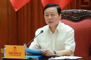Phó thủ tướng đồng tình với quan điểm cần duy trì bảng giá đất 5 năm một lần, kèm hệ số K. Ảnh: VGP