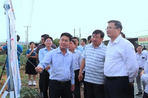 Đoàn công tác Bộ Tài chính khảo sát thực địa khu vực quy hoạch Dự án Nhà máy điện hạt nhân Ninh Thuận 1 tại xã Phước Dinh. Ảnh: Bảo Anh 