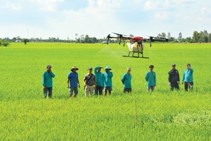 Nông nghiệp Việt đang tạo dựng vị thế vững chắc trên bản đồ nông sản thế giới