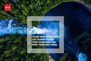 ACCA Việt Nam cùng các chuyên gia thực hiện bản dịch các thuật ngữ chuẩn mực báo cáo phát triển bền vững sang tiếng Việt đầu tiên tại Việt Nam