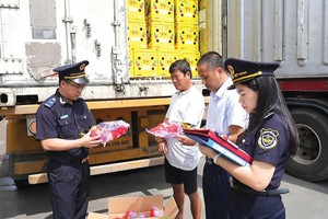 Thu ngân sách từ xuất nhập khẩu có dấu hiệu giảm dù kim ngạch tăng mạnh 