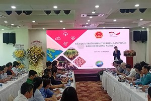 Cần cơ chế tín dụng đột phá cho Đề án 1 triệu ha lúa chất lượng cao vùng Đồng bằng sông Cửu Long