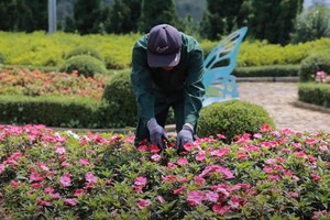 Mùa mưa bão và lời cảnh tỉnh cho an toàn du lịch Việt Nam