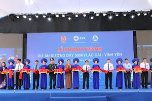 Các đại biểu tham dự lễ cắt băng khánh thành dự án. 