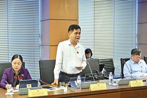 Đại biểu Nguyễn Lâm Thành (Thái Nguyên) phát biểu tại tổ. Ảnh: Hà Tâm