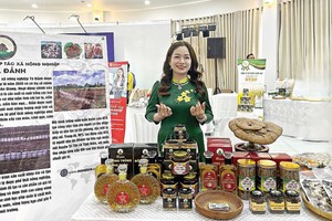 Châu Thị Nương, Giám đốc HTX Nông nghiệp Tà Đảnh