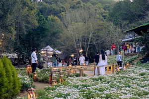 Lâm Đồng sẽ thanh, kiểm tra hoạt động “tour giá rẻ”