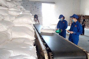 Bộ Tài chính xuất hơn 644 tấn gạo dự trữ hỗ trợ học sinh 3 địa phương