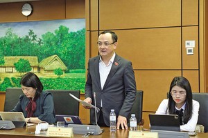 Đại biểu Nguyễn Ngọc Sơn (Hải Phòng) phát biểu tại tổ