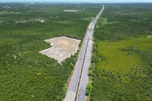 Tuyến metro nối trung tâm TP.HCM đến Cần Giờ dự kiến sẽ chạy dọc theo tuyến đường Rừng Sác hiện nay - Ảnh: Lê Toàn