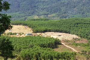 Dự thảo Bảng giá tính thuế tài nguyên trên địa bàn TP.Đà Nẵng được áp dụng đối với các nhóm khoáng sản kim loại, khoáng sản không kim loại, sản phẩm rừng tự nhiên... Ảnh: Linh Đan 