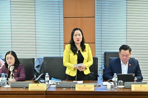 Đại biểu Nguyễn Thị Thủy phát biểu tại tổ. Ảnh: PT. 