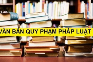 Chính phủ bãi bỏ toàn bộ 8 nghị định. Ảnh minh họa.