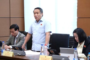 Đại biểu Hà Sỹ Đồng phát biểu tại tổ. 