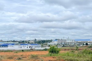 Các khu công nghiệp ở Lâm Đồng thu hút được 13 dự án đầu tư 
