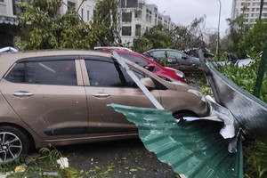 Hàng loạt cơn bão lớn trong 2 năm qua gây nhiều thiệt hại 