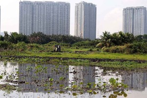 Nếu danh mục đợt 2 được thông qua, TP.HCM sẽ có 117 khu đất, với tổng diện tích hơn 1.510,3 ha tham gia thí điểm.