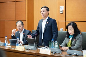 Đại biểu Phạm Đức Ấn phát biểu tại tổ. Ảnh: P.T 