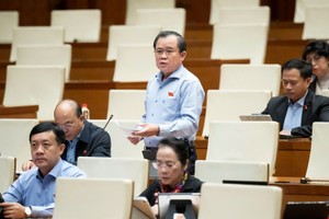 Đại biểu Nguyễn Tâm Hùng (TP.HCM).