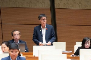 Đại biểu Nguyễn Mạnh Hùng tham gia thảo luận. 