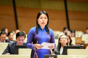 Đại biểu Nguyễn Thị Ngọc Xuân (TP.HCM).