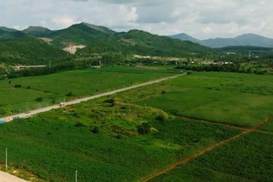 Quảng Ngãi thu hồi hơn 33 ha đất vi phạm của Công ty dược liệu và thực phẩm Măng Đen 