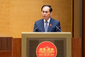 Phó Thủ tướng Bùi Thanh Sơn trình bày tờ trình của Chính phủ. 