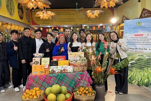 Hoạt động truyền thông số cũng được triển khai đồng bộ để hưởng ứng Lễ hội.