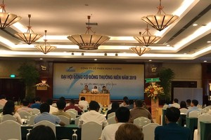 ĐHCĐ Thủy sản Hùng Vương (HVG): Kỳ vọng doanh số trở lại mốc 20.000 tỷ đồng vào cuối năm 2020