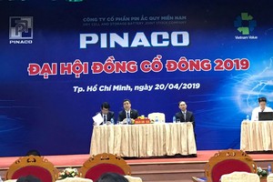 ĐHĐCĐ Pin Ắc quy miền Nam (PAC): Vinachem đang hoàn thiện phương án thoái vốn
