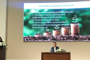 ĐHCD PAN: Cổ đông chất vấn về việc nhận vốn đầu tư nhưng không có kế hoạch tăng trưởng lợi nhuận 2019