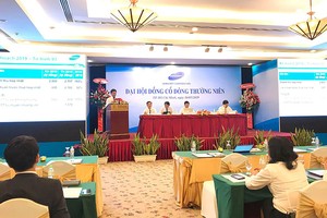 ĐHCĐ Gemadept: Cảng Nam Đình Vũ có lãi trong năm 2019, Gemalink Cái Mép sẽ vận hành trong quý III/2020