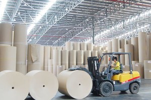 Đông Hải Bến Tre (DHC): Nhóm SSIAM đăng ký bán toàn bộ cổ phiếu, sắp chia cổ tức tiền mặt 10%