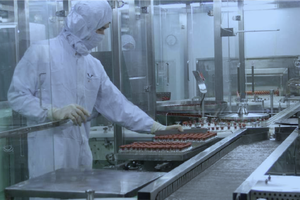 Quý I/2020, Bidiphar (DBD)  lãi 41 tỷ đồng, nhiều cá nhân/tổ chức có liên quan đăng ký mua vào