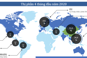 Tình hình xuất khẩu 4 tháng đầu năm vào các thị trường của ANV. Nguồn ANV