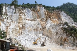 Kiểm toán từ chối cho ý kiến, DIC bị hủy niêm yết bắt buộc từ 10/8