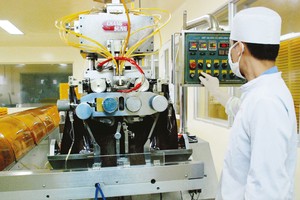Dược Hà Tây (DHT) sẽ phát hành riêng lẻ 5,3 triệu cổ phiếu cho đối tác Nhật giá 70.000 đông/cổ phiếu